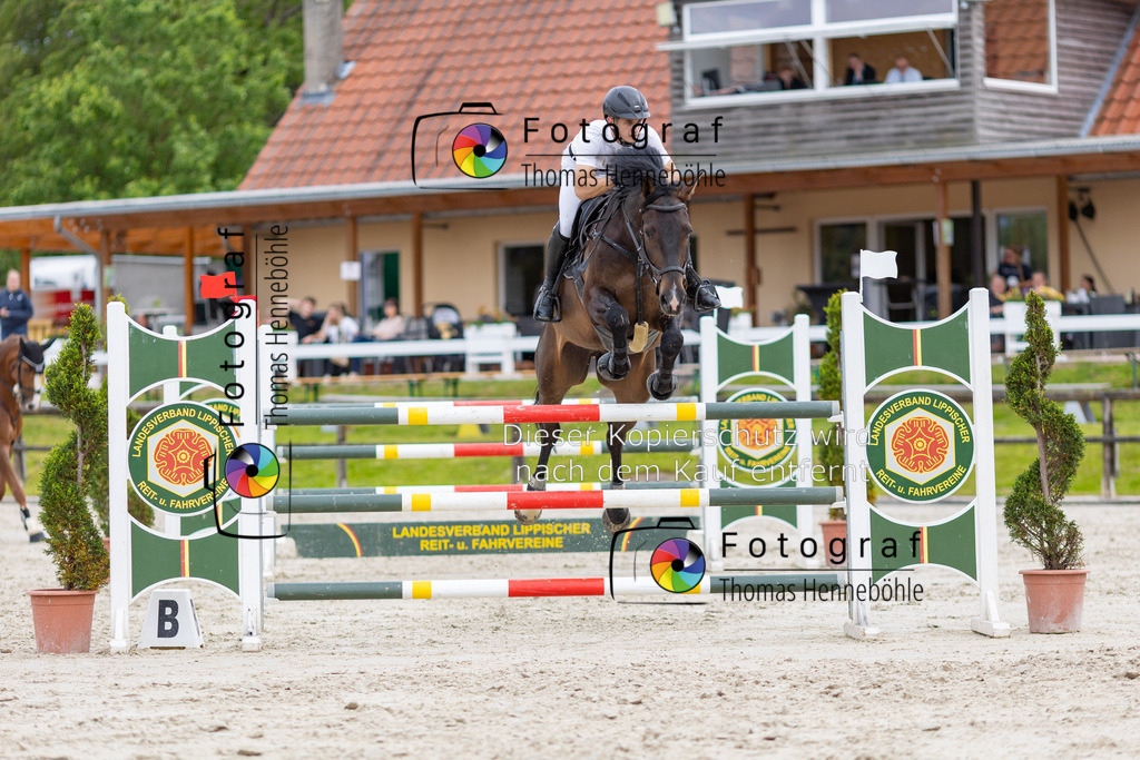 R6B_0502 | Reitsport Fotos Fotograf Thomas HenneböhleTurnier Fotos Eschenbruch; Detmold Cherusker Challenge; Reitsport - Realisiert mit Pictrs.com