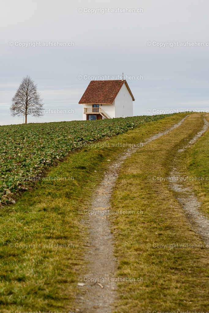 20170226_132912_GGC_2587 | Fotodownload für Pfarreien, Kirchgemeinden und Non-Profit-Organisationen. - Realisiert mit Pictrs.com