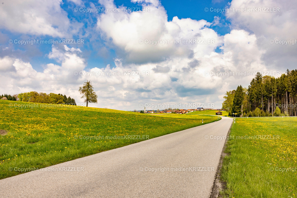 Otting | medienkrizzler - Realisiert mit Pictrs.com