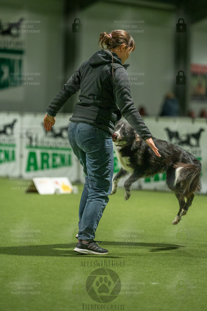 7IV07553 | Professionelle Tierfotografie in Mönchengladbach von Daniel Wirth (allesWIRTHgut). Liebevolle & natürliche Bilder von Hunden & Katzen für unvergessliche Erinnerungen.