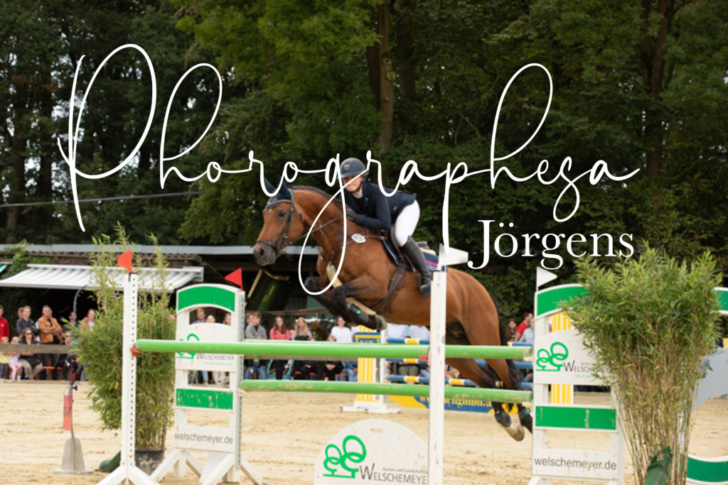 IMG_8389 | photographesa-joergens - Realisiert mit Pictrs.com