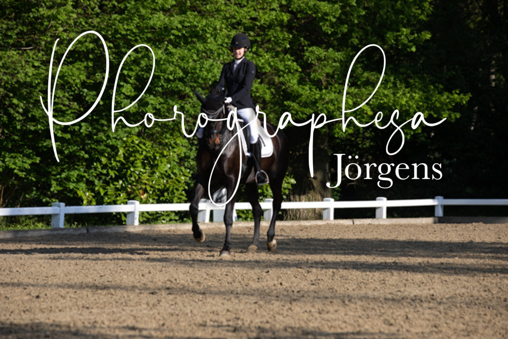 IMG_2425 | photographesa-joergens - Realisiert mit Pictrs.com