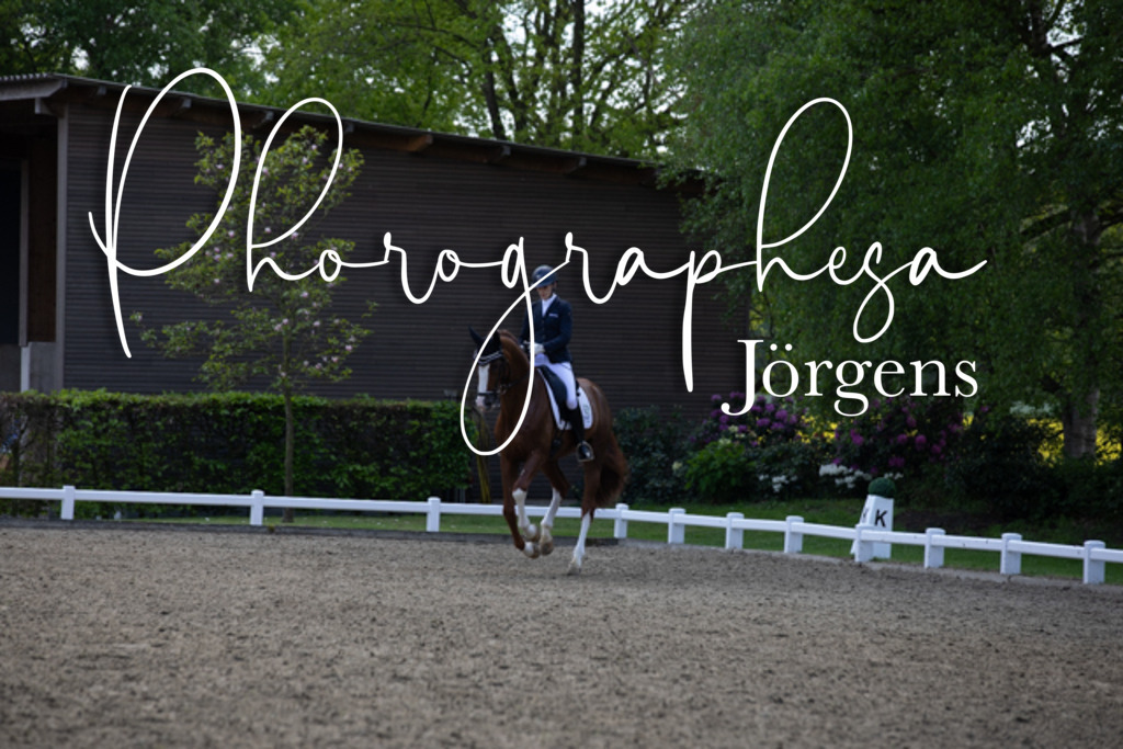 IMG_9338 | photographesa-joergens - Realisiert mit Pictrs.com