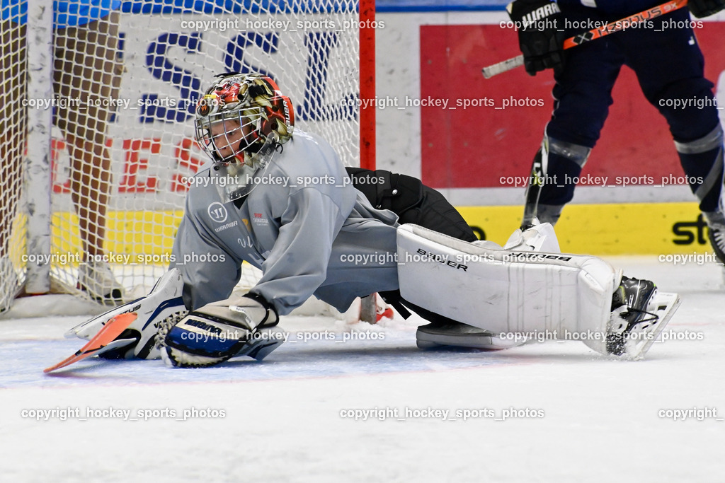 BST_7833 | hockey sports photos, Pressefotos, Sportfotos, hockey247, win 2day icehockeyleague, Handball Austria, Floorball Austria, ÖVV, Kärntner Eishockeyverband, KEHV, KFV, Kärntner Fussballverband, Österreichischer Volleyballverband, Alps Hockey League, ÖFB, 