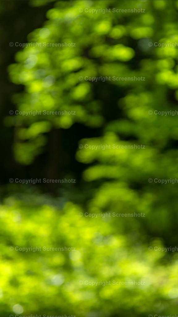 LED_C_Green_Bokeh12 | screenshotz - Realisiert mit Pictrs.com