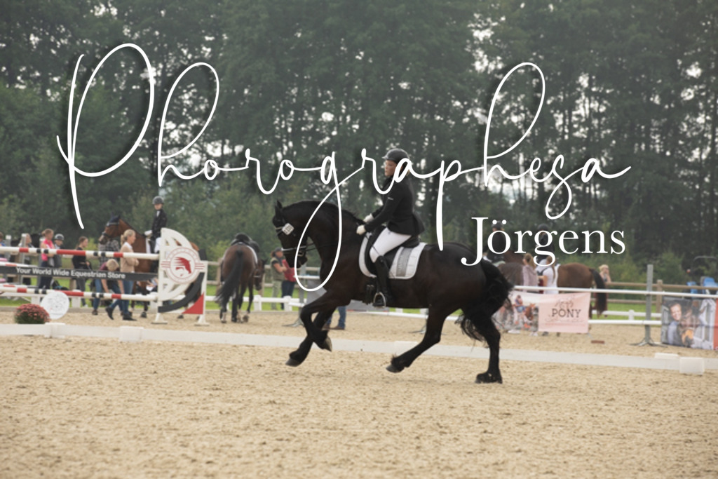 IMG_2666 | photographesa-joergens - Realisiert mit Pictrs.com