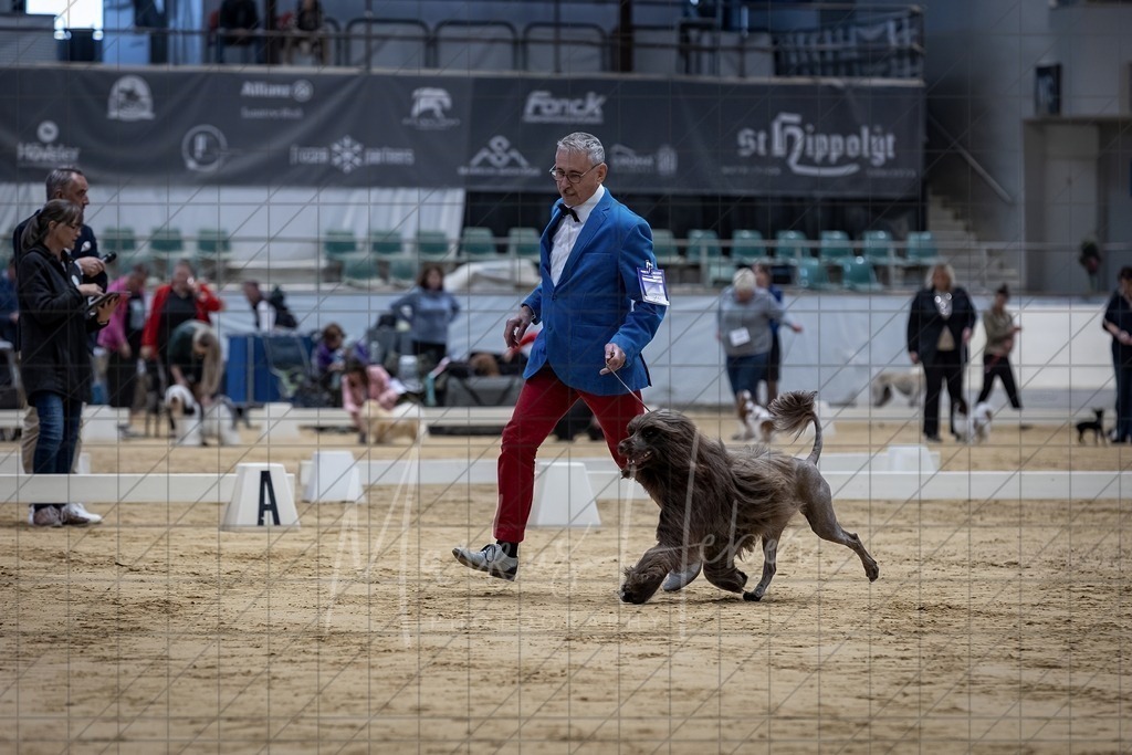DS - FCI Gruppe 8_0029 | Markus Heber Photography