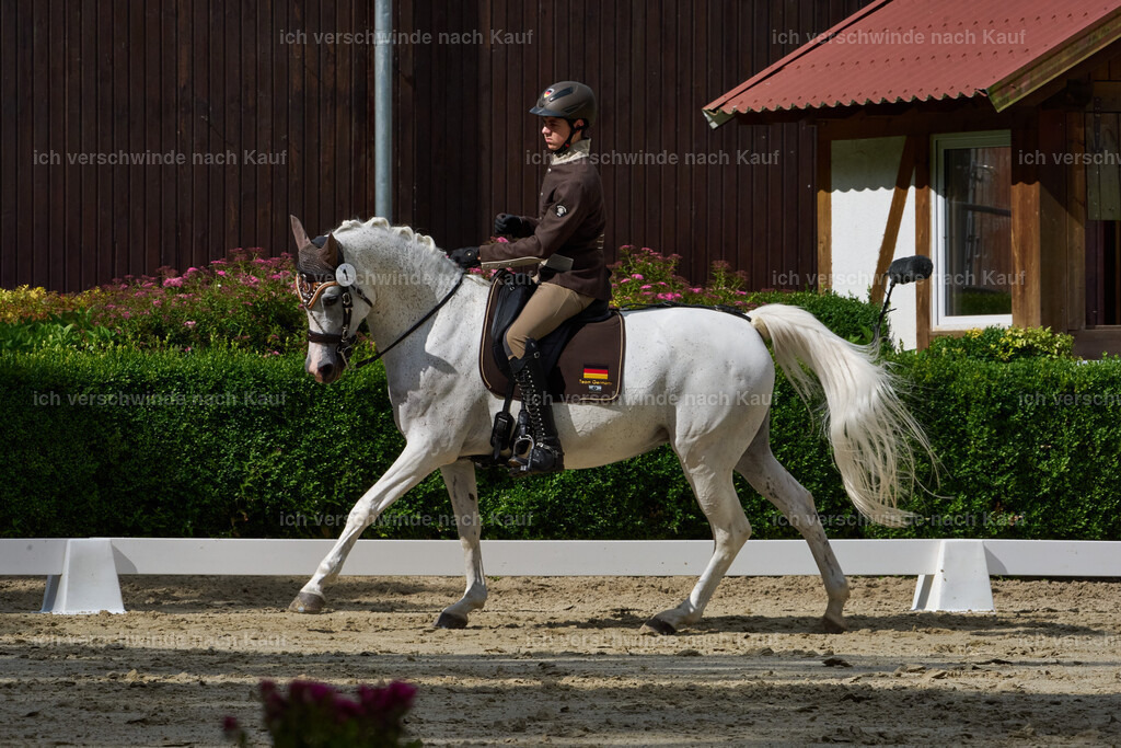 SIN01490_ Marixx | working equitationturnier fotograf videograf stoibphotography marixx film working equitation deutschland reitsport turnierfotografie eventfotografie equestrian events