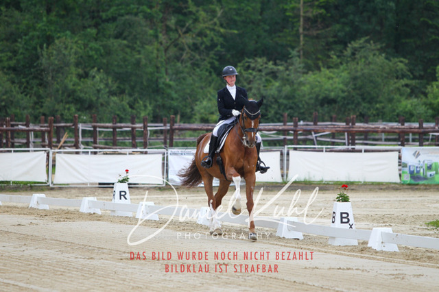 DKP48694 | Turniersportfotografie; Pferdefotografie; Dressurfotografie