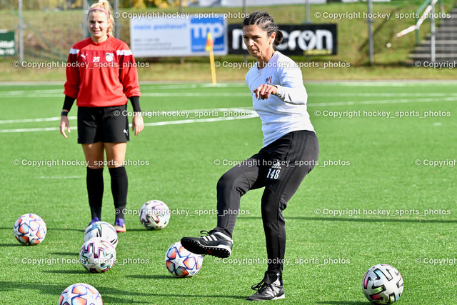 Liwodruck Carinthians Hornets vs. SVK Wildcats 23.10.2022 | Headcoach SVK Wildcats Erika Szabo,