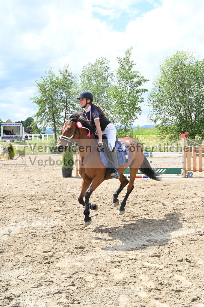 DSC_8662 | equestrian-live-com