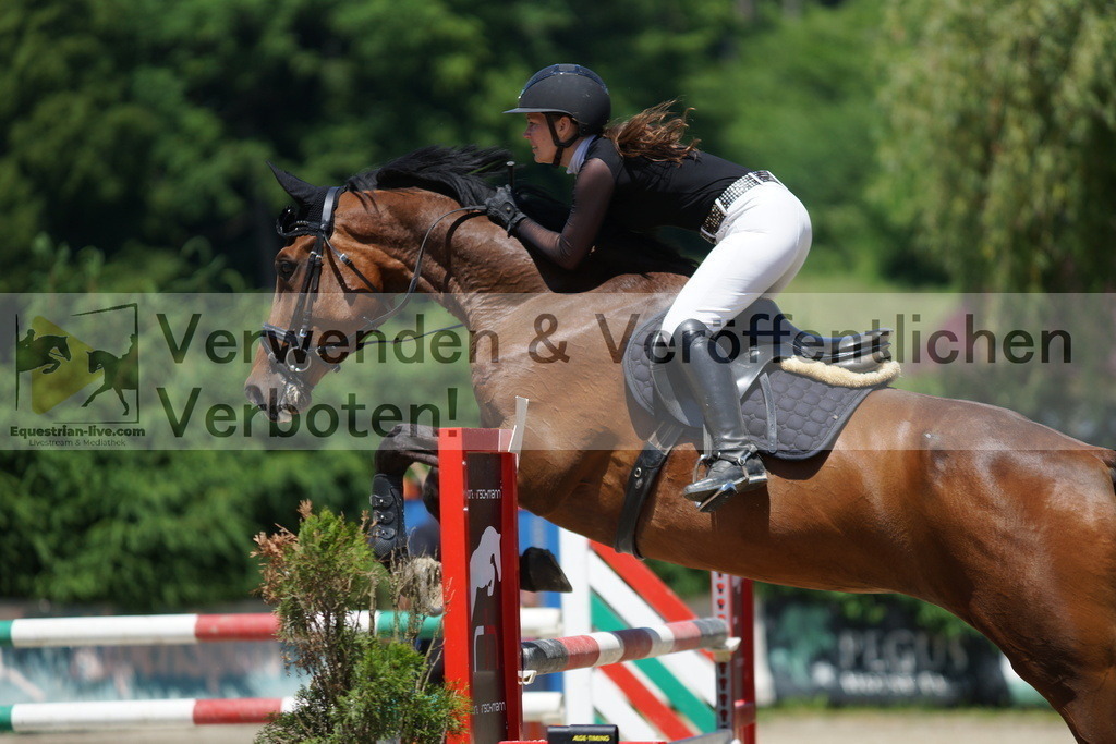 DSC08135 | equestrian-live-com