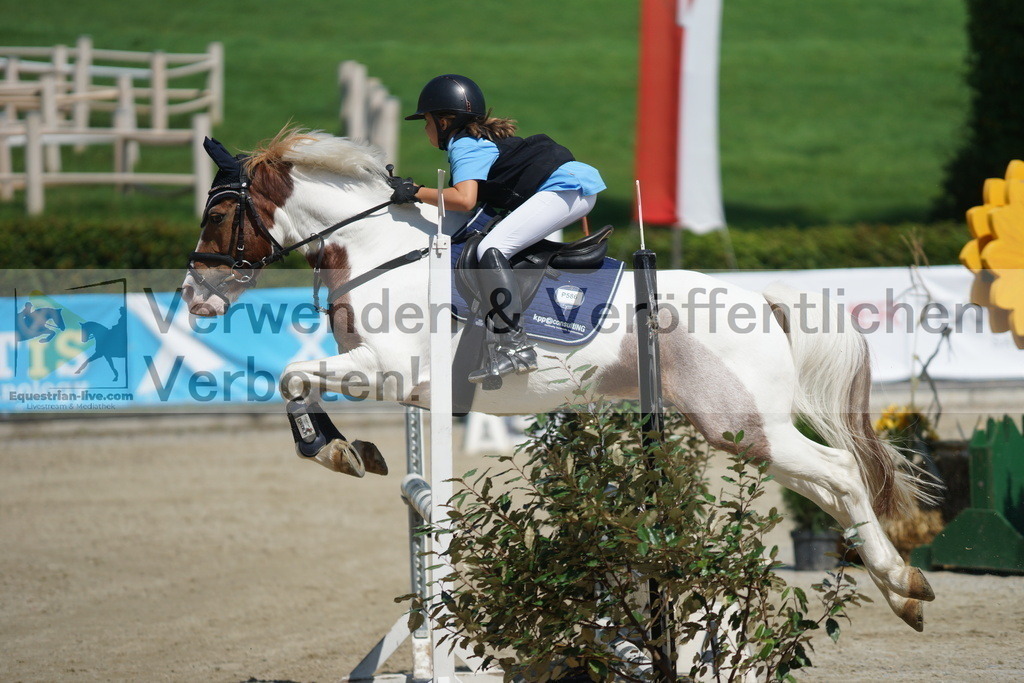 DSC07200 | equestrian-live-com