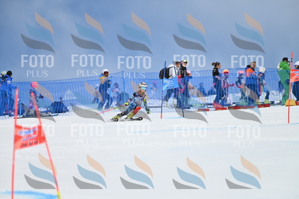 BGV_9348 | holidayphoto