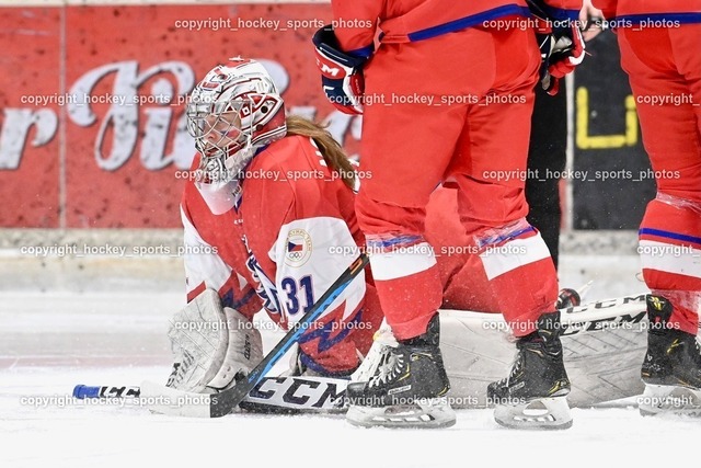 BST_5564 | hockey sports photos, Pressefotos, Sportfotos, hockey247, win 2day icehockeyleague, Handball Austria, Floorball Austria, ÖVV, Kärntner Eishockeyverband, KEHV, KFV, Kärntner Fussballverband, Österreichischer Volleyballverband, Alps Hockey League, ÖFB, 