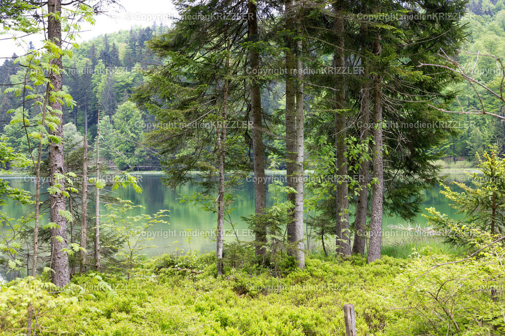 Frillensee | medienkrizzler - Realisiert mit Pictrs.com