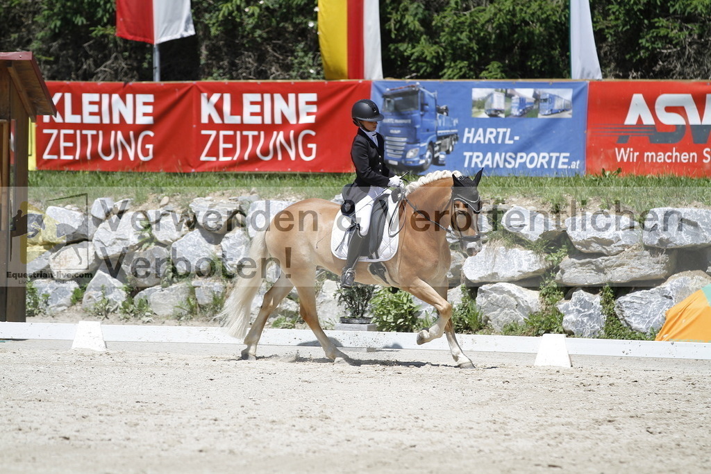 _MG_5006 | equestrian-live-com