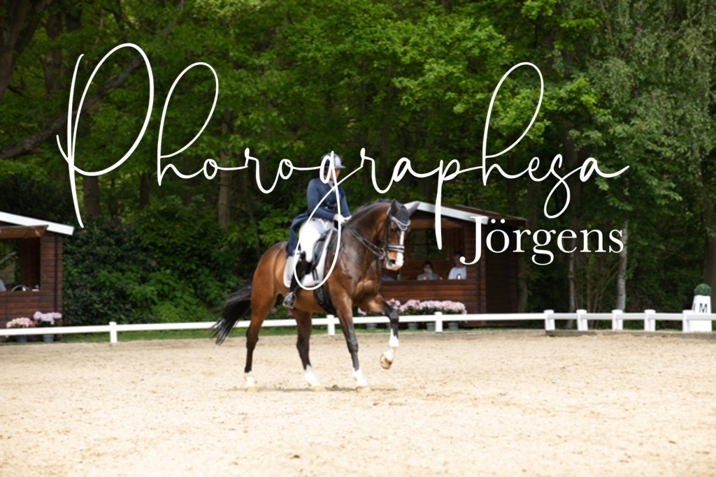 IMG_1686 | photographesa-joergens - Realisiert mit Pictrs.com
