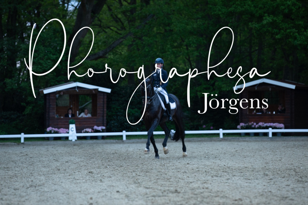 IMG_9853 | photographesa-joergens - Realisiert mit Pictrs.com