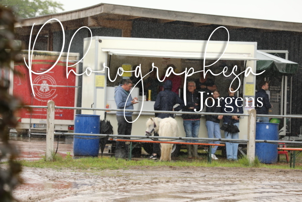 IMG_4673 | photographesa-joergens - Realisiert mit Pictrs.com