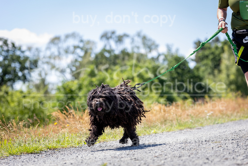 FM6A0815 | Herzlich Willkommen im Onlineshop von tierische Augenblicke.
Viel Spaß beim aussuchen ihrer Bilder und vielen Dank für ihren Einkauf.
Viele Grüße, ihr Fotograf Stefan Grube