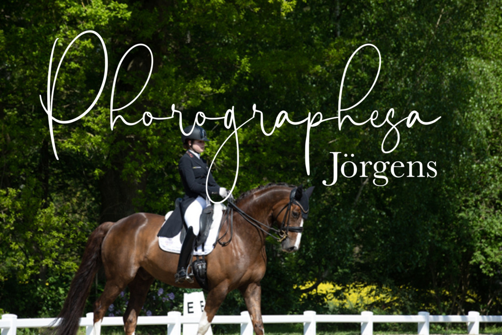 IMG_4000 | photographesa-joergens - Realisiert mit Pictrs.com