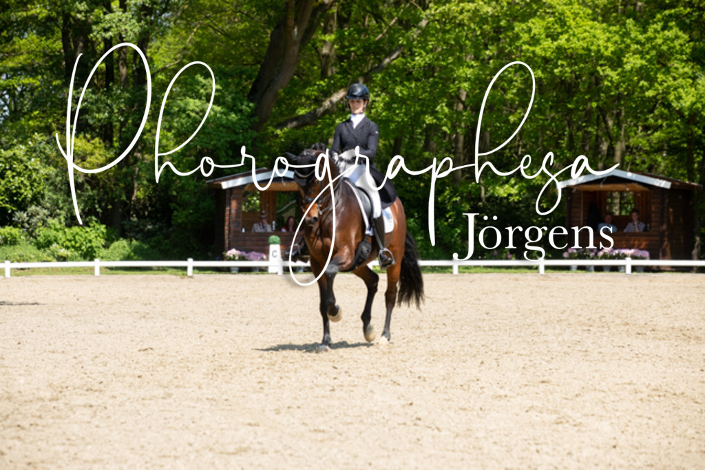IMG_4679 | photographesa-joergens - Realisiert mit Pictrs.com