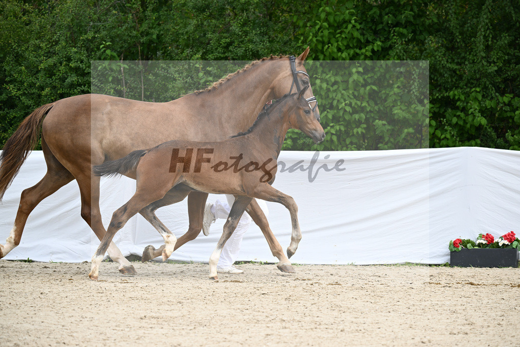Sebastino PS x Apache_HF_Blessing_28240344 | hf-fotografie - Realisiert mit Pictrs.com