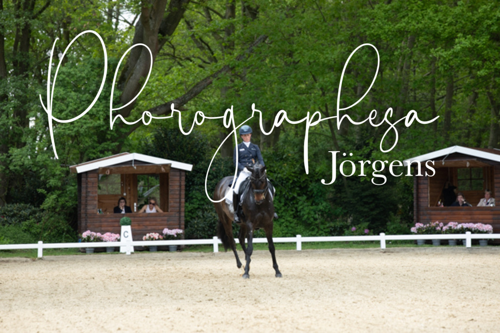 IMG_8336 | photographesa-joergens - Realisiert mit Pictrs.com