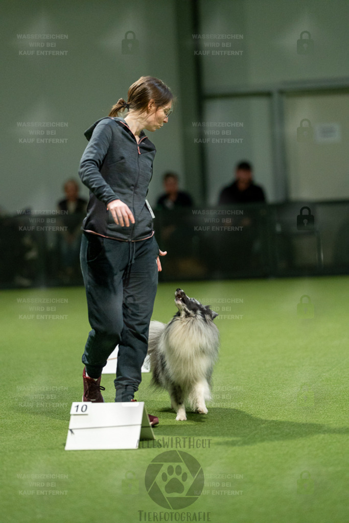 7IV02295 | Professionelle Tierfotografie in Mönchengladbach von Daniel Wirth (allesWIRTHgut). Liebevolle & natürliche Bilder von Hunden & Katzen für unvergessliche Erinnerungen.