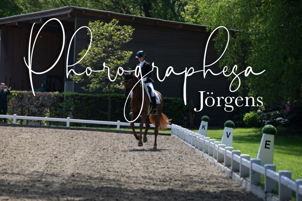IMG_8472 | photographesa-joergens - Realisiert mit Pictrs.com