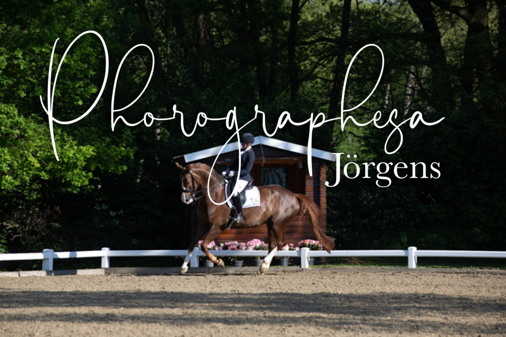 IMG_2488 | photographesa-joergens - Realisiert mit Pictrs.com