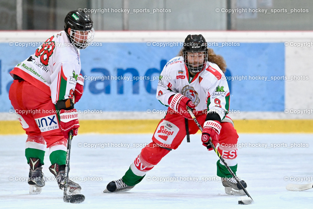 BST_9286 | hockey sports photos, Pressefotos, Sportfotos, hockey247, win 2day icehockeyleague, Handball Austria, Floorball Austria, ÖVV, Kärntner Eishockeyverband, KEHV, KFV, Kärntner Fussballverband, Österreichischer Volleyballverband, Alps Hockey League, ÖFB, 