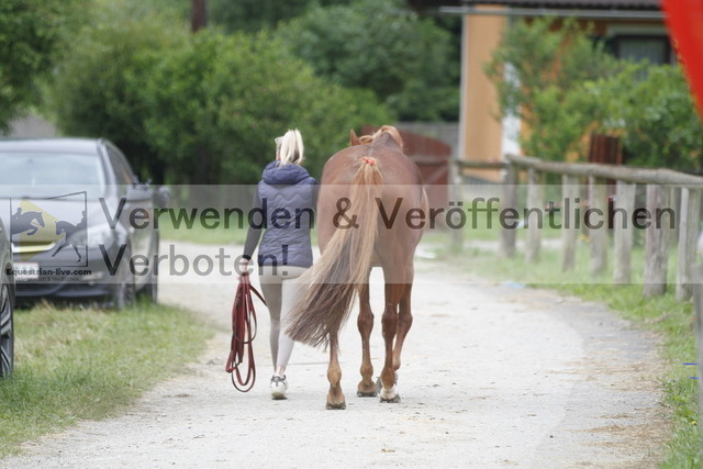 _MG_2776 | equestrian-live-com