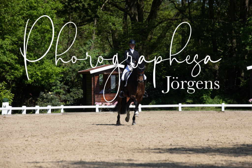 IMG_3723 | photographesa-joergens - Realisiert mit Pictrs.com