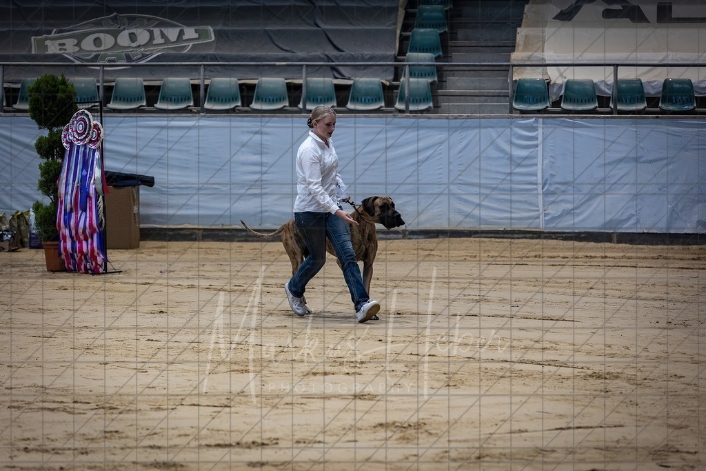 DS - Junior-Handling II_0026 | Markus Heber Photography