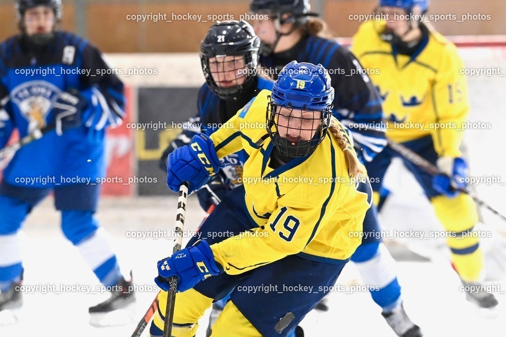 BST_5280 | hockey sports photos, Pressefotos, Sportfotos, hockey247, win 2day icehockeyleague, Handball Austria, Floorball Austria, ÖVV, Kärntner Eishockeyverband, KEHV, KFV, Kärntner Fussballverband, Österreichischer Volleyballverband, Alps Hockey League, ÖFB, 