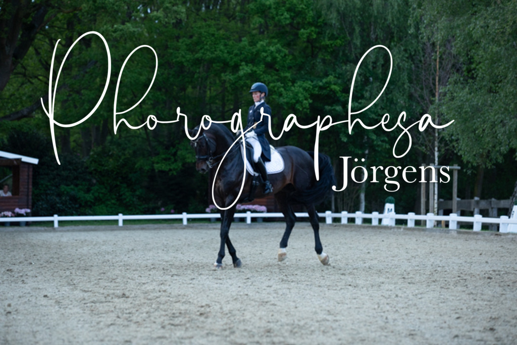 IMG_9811 | photographesa-joergens - Realisiert mit Pictrs.com