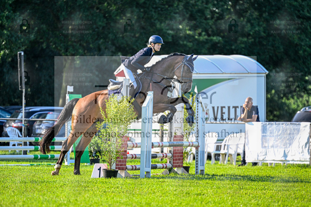 Reitturnier Hasbergen | Bilder aus dem Reitsport by Foto Oger - Domenic Schlinge - Realisiert mit Pictrs.com