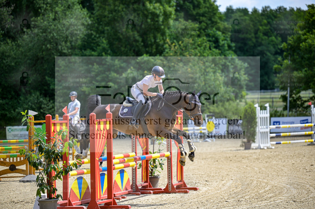 Osnabrücker Reitertage | Bilder aus dem Reitsport by Foto Oger - Domenic Schlinge - Realisiert mit Pictrs.com