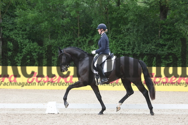 Weilheim_2023_Prfg.Nr.20_Reitpferdeprüfung_3u.4jähr.Hengste_Anna Casper_Elocin (11) | Alle Fotos der Reiterjournal Fotografin Doris Matthaes im Reiterjournal Online-Fotoshop. - Realized with Pictrs.com