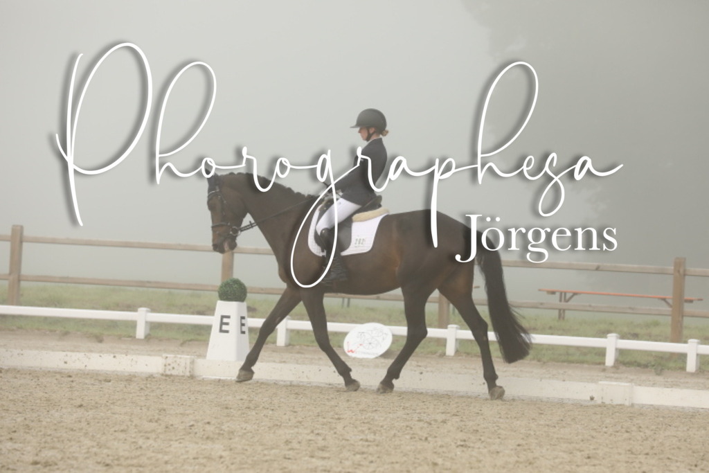 IMG_2255 | photographesa-joergens - Realisiert mit Pictrs.com