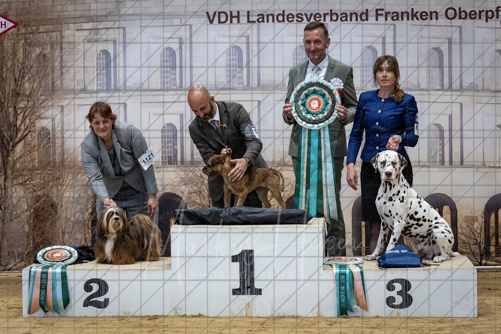 DS - Best in Show_0029 | Markus Heber Photography
