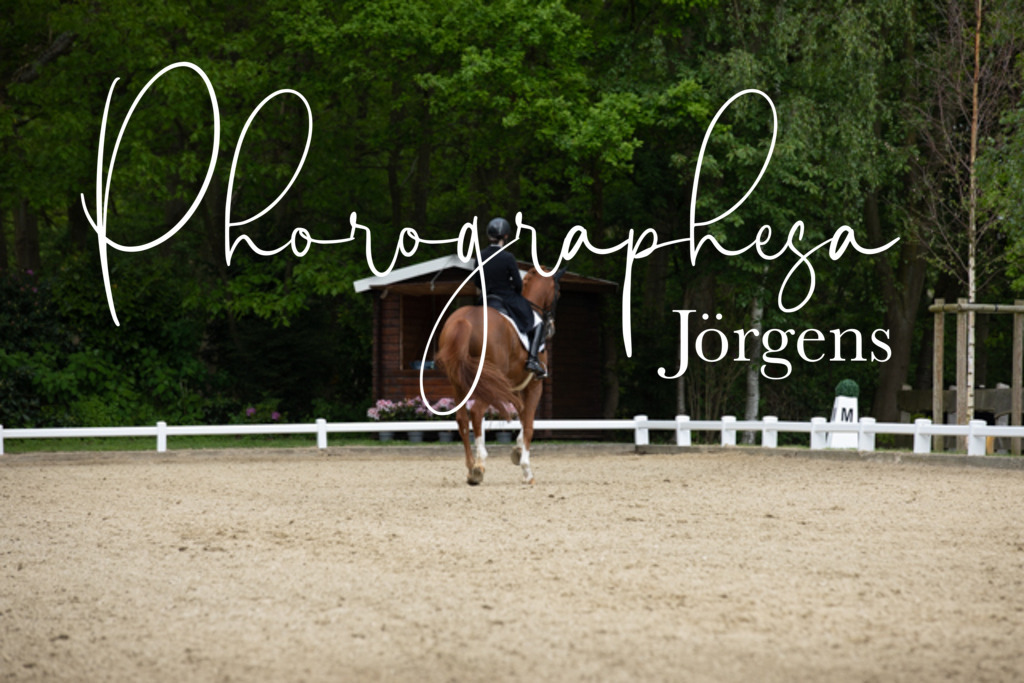 IMG_1800 | photographesa-joergens - Realisiert mit Pictrs.com