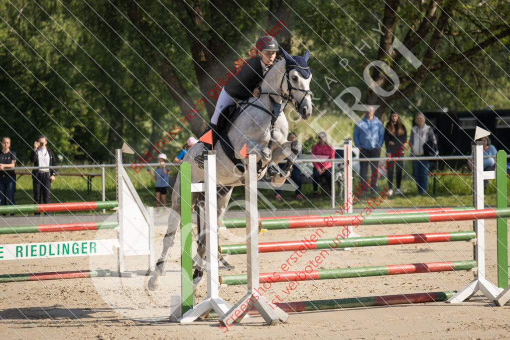 IMG_8348 | Hier findest Du viele Augenblicke aus den Bereichen der Turnier-, Sport- & Tierfotografie. Bilder mit deinem Liebling, Portrait-, Bewerbungs-, Businessbilder können ebenfalls schnell und einfach erstellt werden.