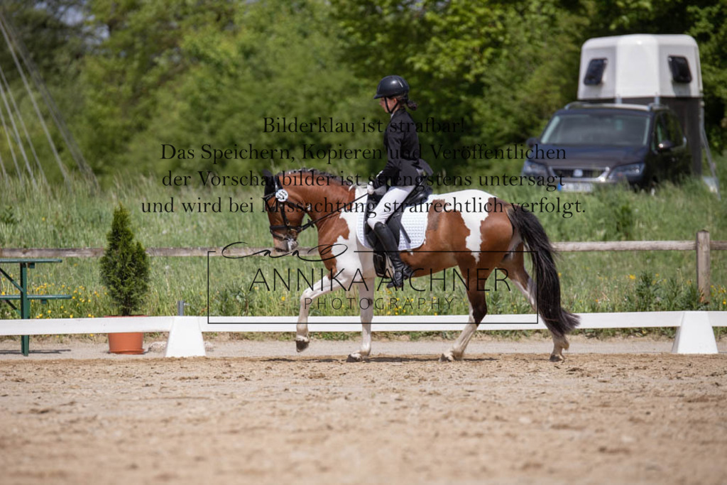 _MG_0911 | Annika Aichner Fotografie | Turnierfotografin | Turniere Niederbayern | Springturnier | Dressurturnier | Obermünchen | Geisenhausen | Mainburg | Neukirchen | Turnierbilder | Turnierfotos | Reitsport - Realisiert mit Pictrs.com