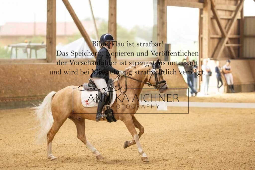 CK4A0636_01 | Annika Aichner Fotografie | Turnierfotografin | Turniere Niederbayern | Springturnier | Dressurturnier | Obermünchen | Geisenhausen | Mainburg | Neukirchen | Turnierbilder | Turnierfotos | Reitsport - Realisiert mit Pictrs.com