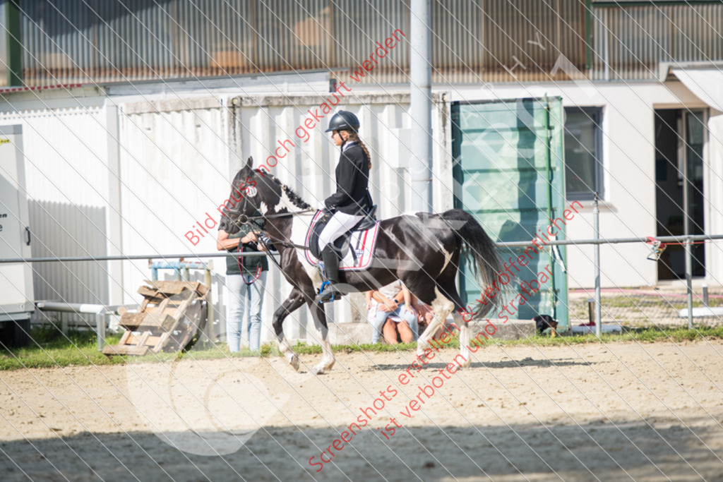 ND5_7620 | Hier findest Du viele Augenblicke aus den Bereichen der Turnier-, Sport- & Tierfotografie. Bilder mit deinem Liebling, Portrait-, Bewerbungs-, Businessbilder können ebenfalls schnell und einfach erstellt werden.