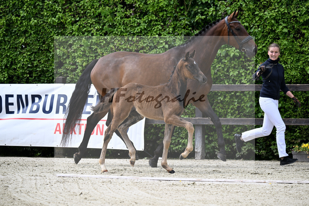 Kat-Nr. 4 Bonhoeffer x Danone_Zweckl_25240204 | hf-fotografie - Realisiert mit Pictrs.com