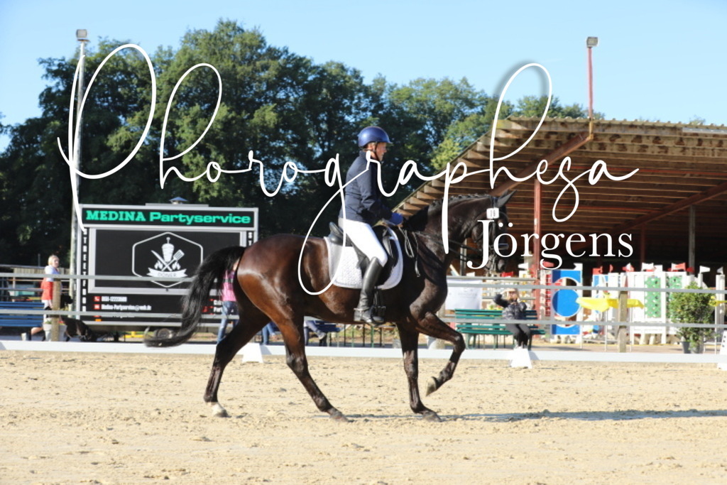 IMG_7611 | photographesa-joergens - Realisiert mit Pictrs.com